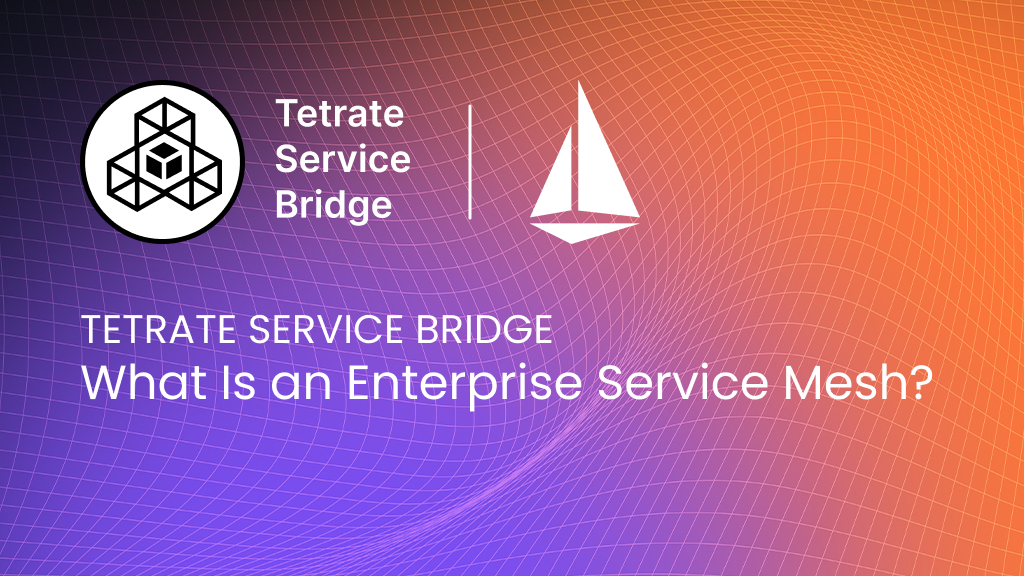 Enterprise Service Mesh